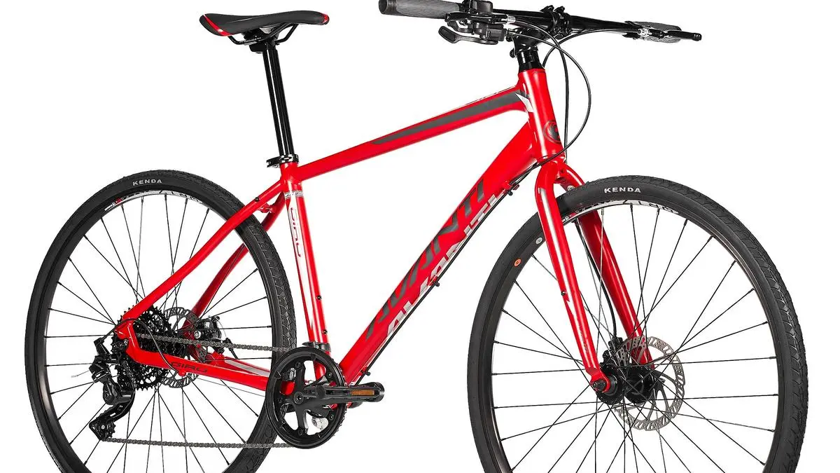 Avanti 2024 hybrid bike